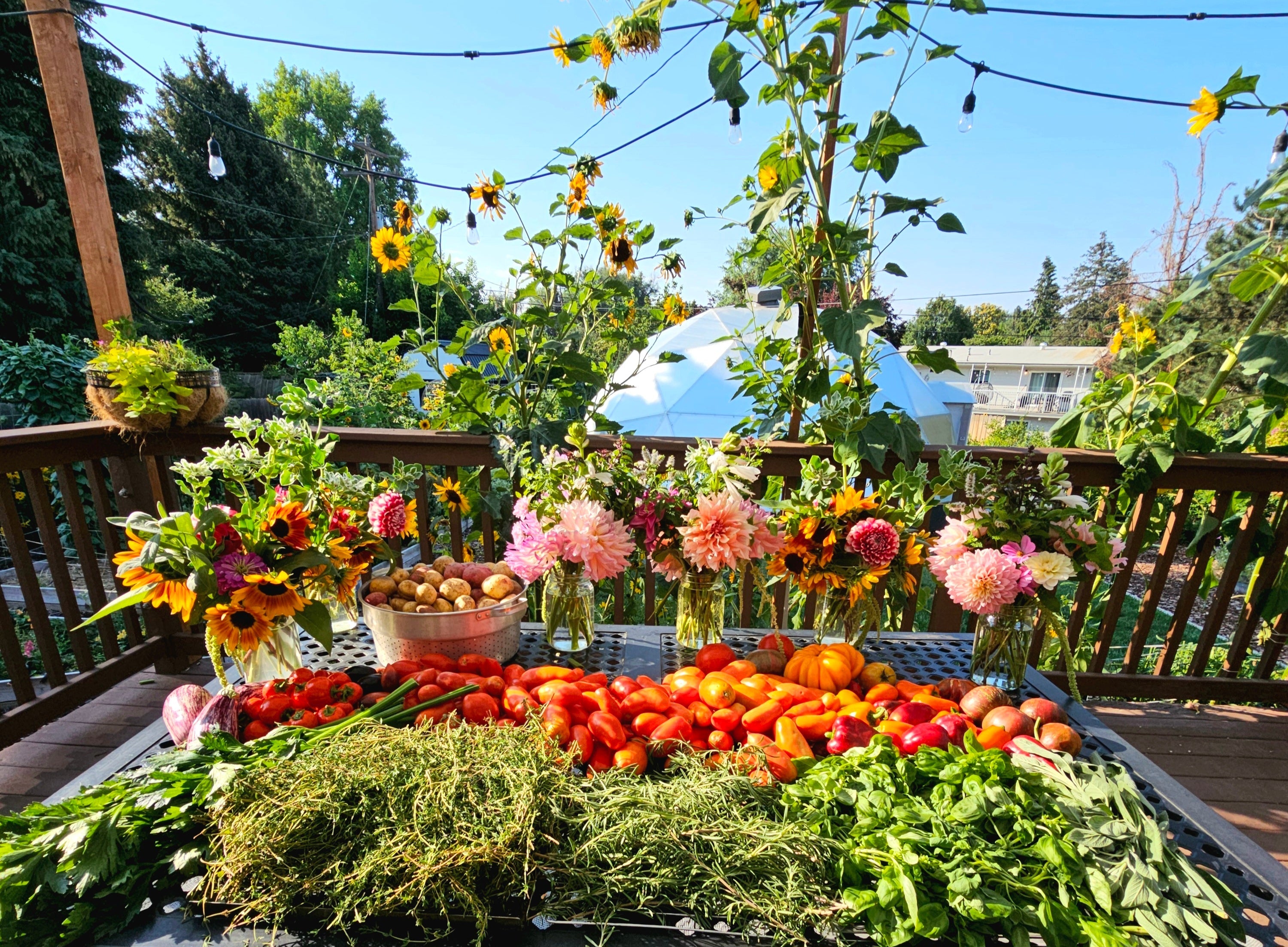 Bountiful harvest from raised bed gardening
