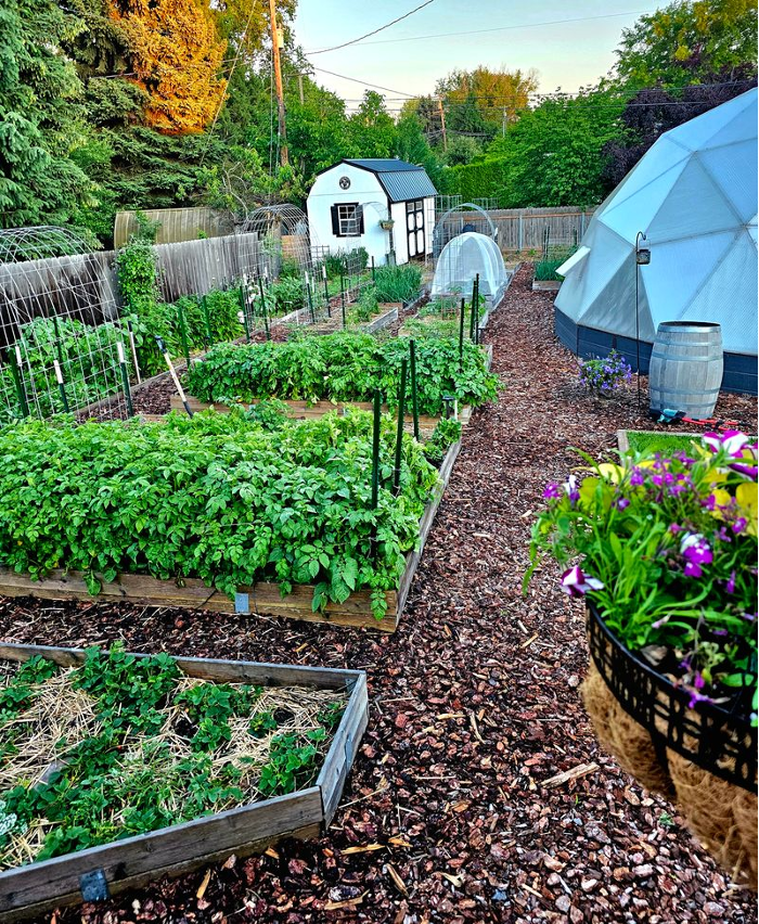 Healthy and lush raised bed gardens and a greenhouse dome