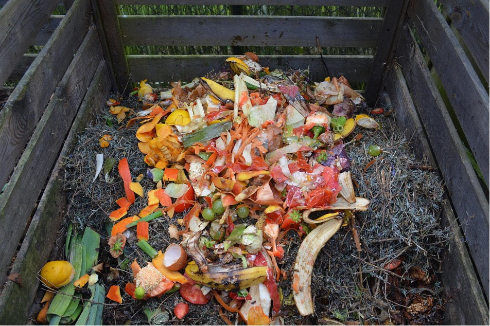 Kitchen scraps on top of  a pile of dry autumn leaves and debris in a compost bin. 
