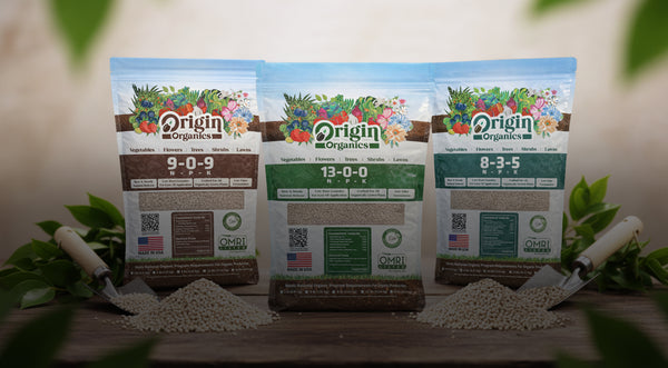 Origin